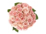 Pink Pearl - 36 Stems In Bouquet